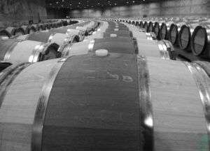 Opus one barrel room